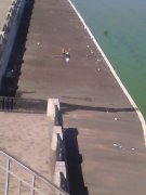 IMG_20150916_110716.jpg