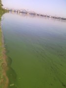 IMG_20150916_093527.jpg