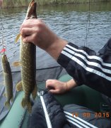 DSC00406.JPG