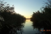 DSC00410.jpg