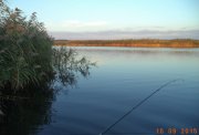 DSC00411.jpg