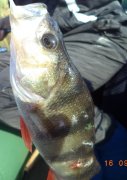 DSC00422.jpg