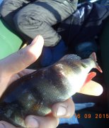 DSC00423.jpg