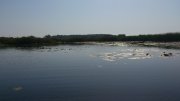 DSC_8018.jpg