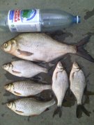 IMG_20150923_113946.jpg