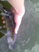 IMG_20150924_100319.jpg