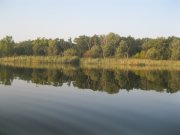IMG_2646.JPG