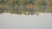 IMG_2837.jpg