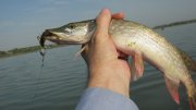 IMG_2839.jpg