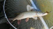 IMG_2841.jpg