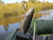 100_9406.JPG