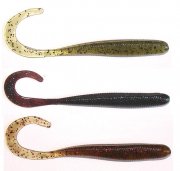 fish curly.JPG