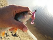 20151001_162848.jpg
