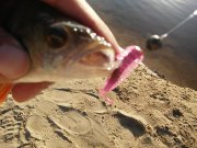 20151001_162908.jpg