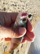 20151001_163913.jpg