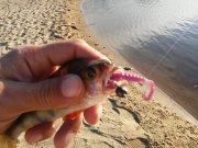 20151001_165113.jpg