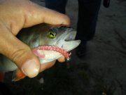 20151002_070353.jpg