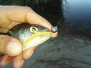 20151002_072854.jpg