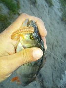 20151002_073633.jpg