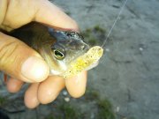 20151002_075338.jpg