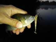 20151002_064105.jpg