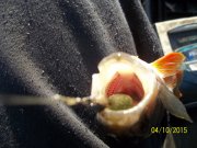 100_9476.JPG