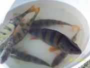 100_9494.JPG