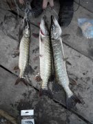 20151006181138.jpg
