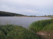 20150913_085153.jpg