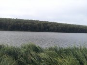 20150913_085157.jpg