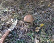 IMG0404A.jpg