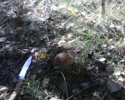 IMG0406A.jpg