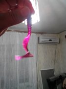 20151007224704.jpg