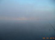 DSC00472.jpg