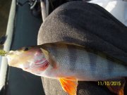 100_9508.JPG