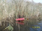 100_9516.JPG