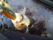 100_9529.JPG