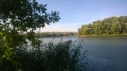 WP_20151012_002.jpg