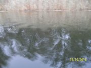 100_9536.JPG