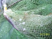100_9542.JPG