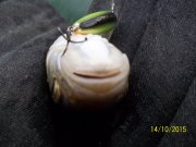 100_9544.JPG
