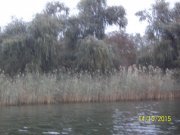 100_9547.JPG