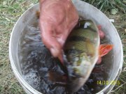 100_9560.JPG