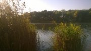 WP_20151016_002.jpg