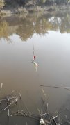 20151016134652.jpg