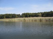 IMG_2795.JPG