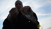 vlcsnap-2015-10-18-20h02m29s71.png