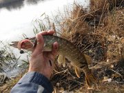 20151018_115014.jpg