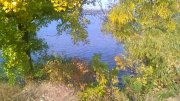 WP_20151019_005.jpg