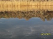 100_9565.JPG